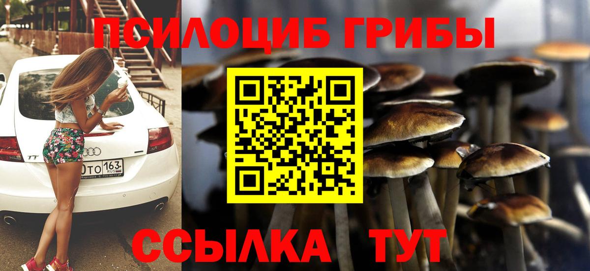Галлюциногенные грибы Cubensis Сибай