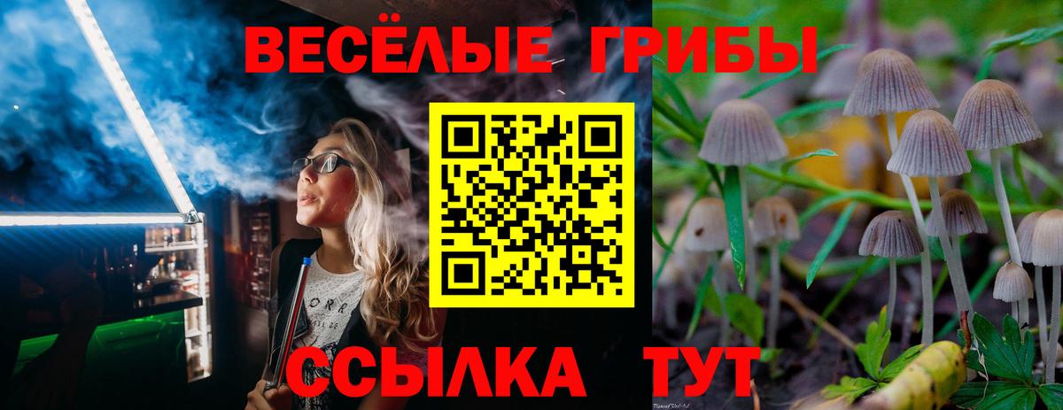 Псилоцибиновые грибы MAGIC MUSHROOMS  Галлюциногенные грибы Magic Shrooms  Сибай  Вход с VPN 